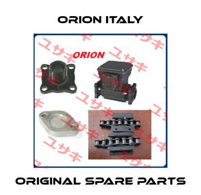 Orion Italy