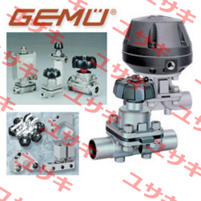 3030000DHWS41 4AM4200C1 Gemü