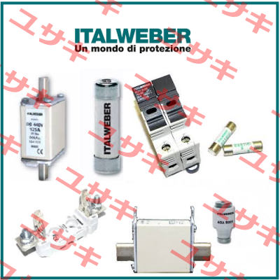 0106063  Italweber