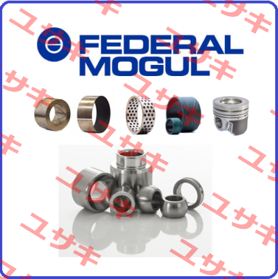 813550010  Federal Mogul