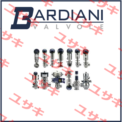 BBZK DN65-l SS VITON 316 LIN SE NO  Bardiani Valvole