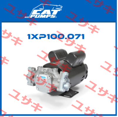 1XP100.071 Cat Pumps