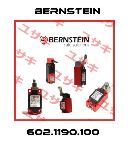 602.1190.100  Bernstein