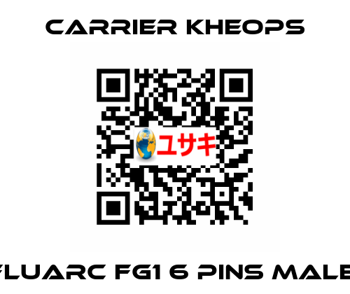  Fluarc FG1 6 Pins Male  Carrier Kheops
