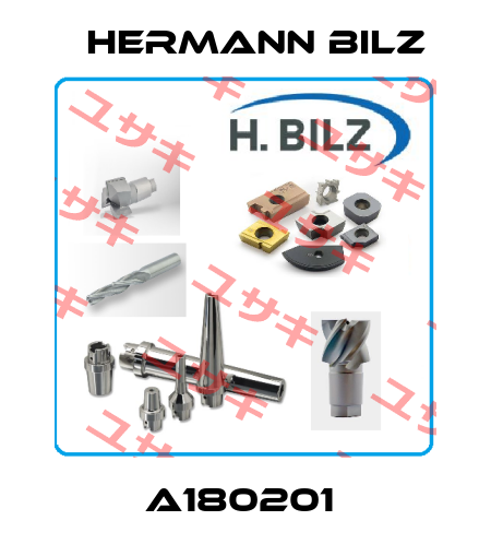 A180201  Hermann Bilz