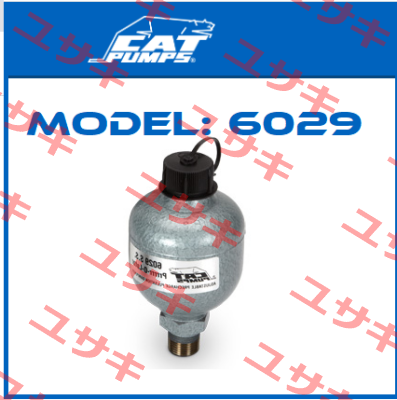 Model: 6029 Cat Pumps