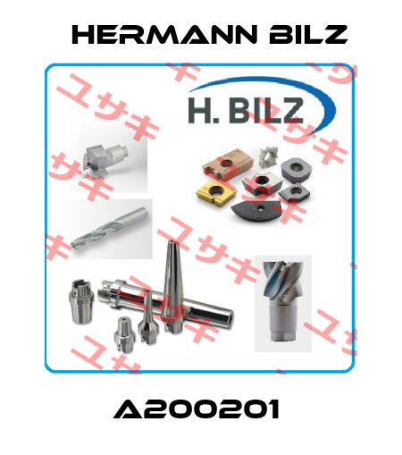 A200201  Hermann Bilz