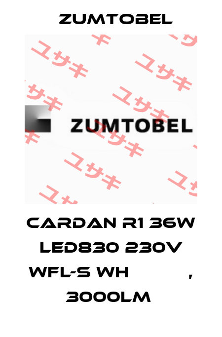 CARDAN R1 36W LED830 230V WFL-S WHС ЕПРА, 3000LM  Zumtobel