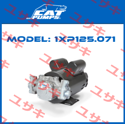 1XP125.071 Cat Pumps