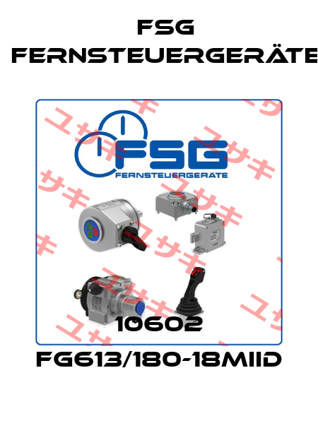 10602 FG613/180-18MIID FSG Fernsteuergeräte
