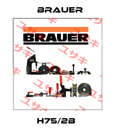 H75/2B  Brauer