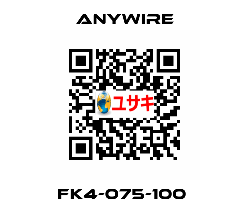 FK4-075-100  Anywire