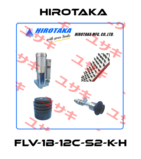 FLV-1B-12C-S2-K-H Hirotaka