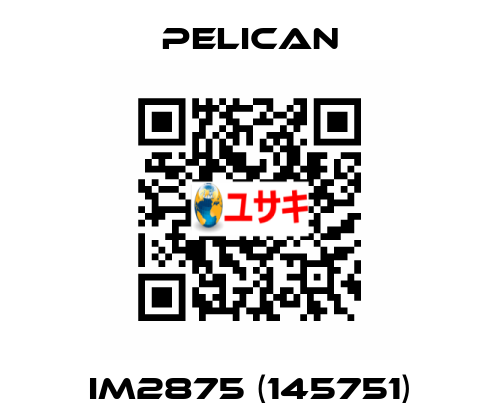 iM2875 (145751) Pelican