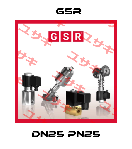DN25 PN25 GSR