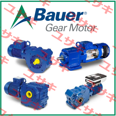 N 16091  Bauer