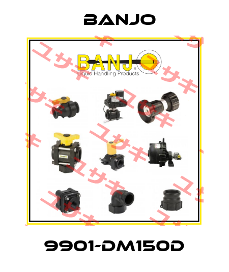 9901-DM150D Banjo