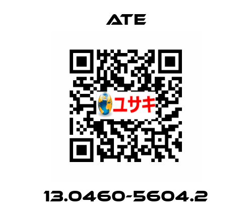 13.0460-5604.2 Ate