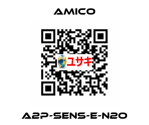 A2P-SENS-E-N2O AMICO