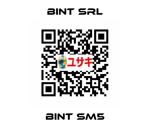 BINT SM5 BINT SRL