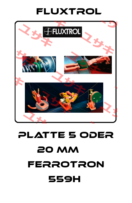 PLATTE 5 ODER 20 MM      FERROTRON 559H  Fluxtrol