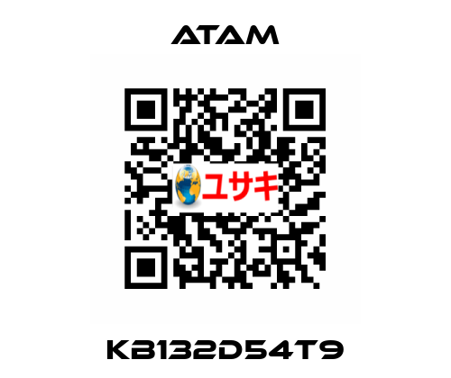 KB132D54T9 ATAM