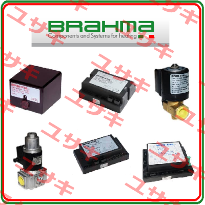 18021022 Brahma