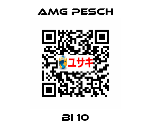 BI 10 AMG Pesch