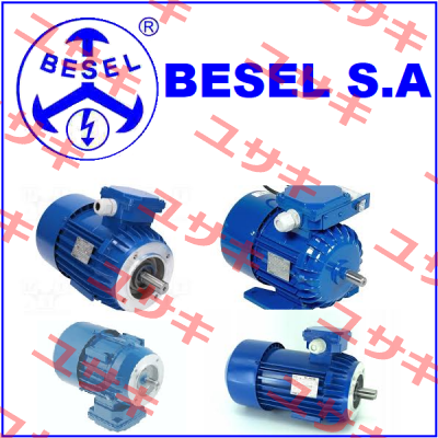 Ex Skg 56-2A2 BESEL S.A.