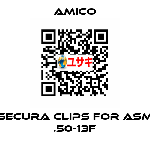 Secura Clips for ASM .50-13F AMICO