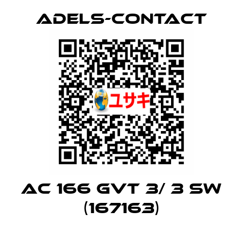 AC 166 GVT 3/ 3 SW (167163) Adels-Contact