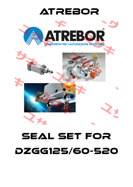 SEAL SET FOR DZGG125/60-520  Atrebor