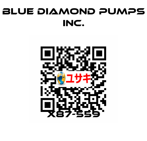 X87-559 Blue Diamond Pumps Inc.
