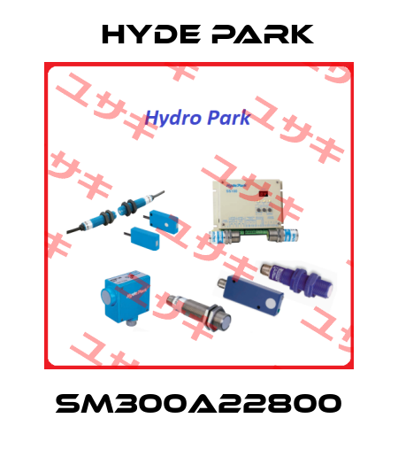 SM300A22800 Hyde Park