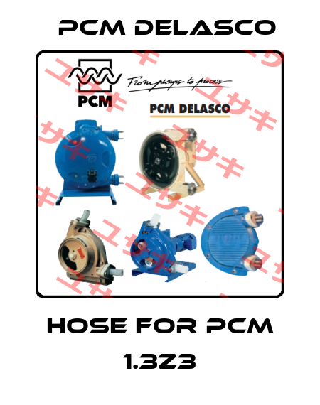 hose for PCM 1.3Z3 PCM delasco