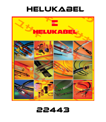 22443 Helukabel