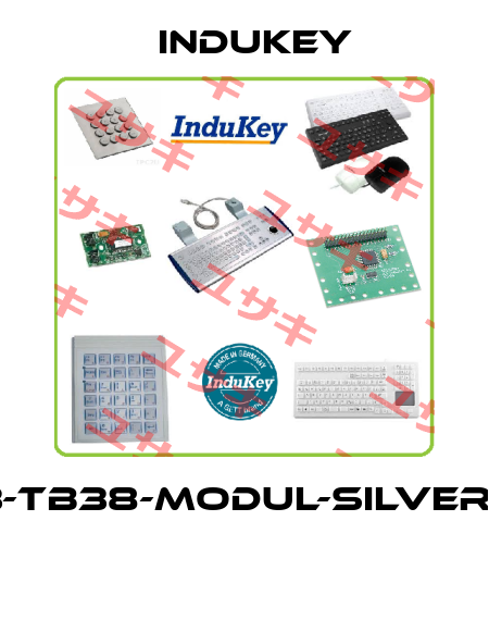TKG-083-TB38-MODUL-SILVER-USB-US  InduKey