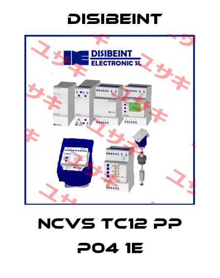NCVS TC12 PP P04 1E Disibeint