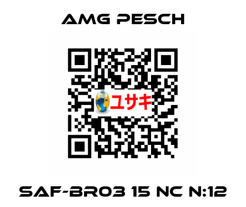 SAF-BR03 15 NC n:12 AMG Pesch