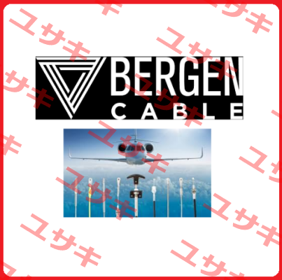 TB201 Bergen Cable Technology Llc