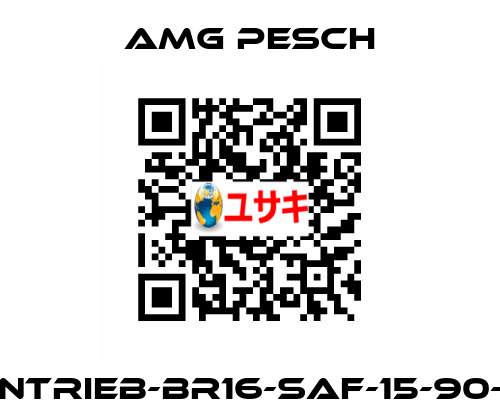 AMG-Antrieb-BR16-SAF-15-90-01-n=12 AMG Pesch