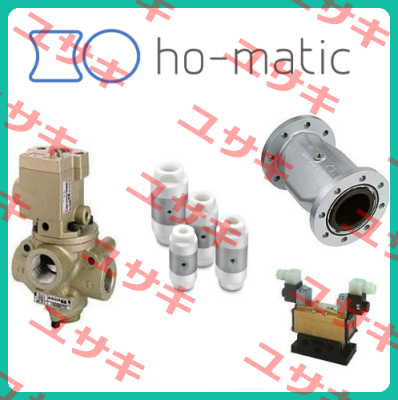 50065.000.100 Ho-Matic AG