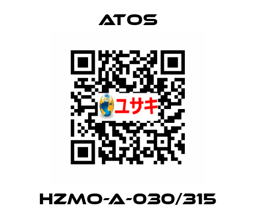 HZMO-A-030/315 Atos
