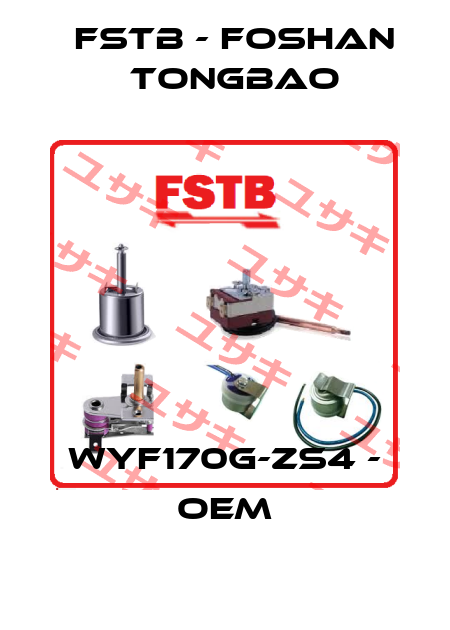 WYF170G-ZS4 - OEM FSTB - Foshan Tongbao