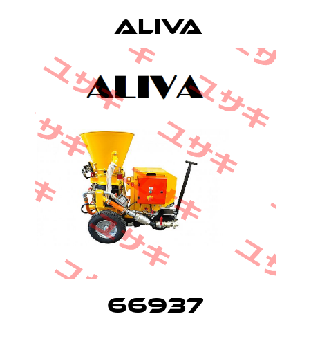 66937 Aliva 