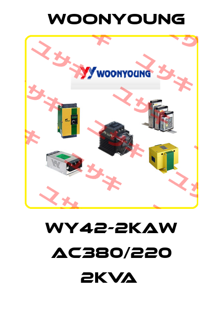 WY42-2KAW AC380/220 2KVA  WOONYOUNG