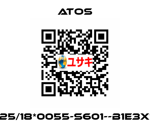 CK-25/18*0055-S601--B1E3X1Z3 Atos
