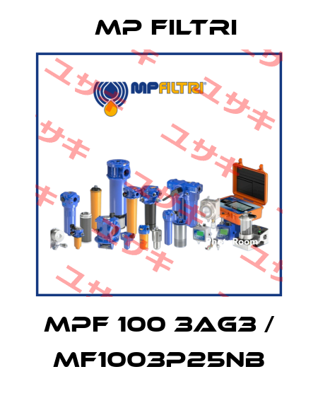 MPF 100 3AG3 / MF1003P25NB MP Filtri