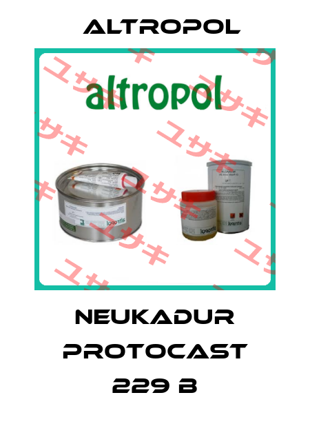 NEUKADUR ProtoCast 229 B Altropol