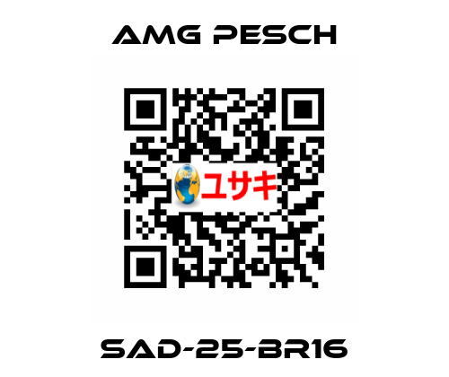 SAD-25-BR16 AMG Pesch